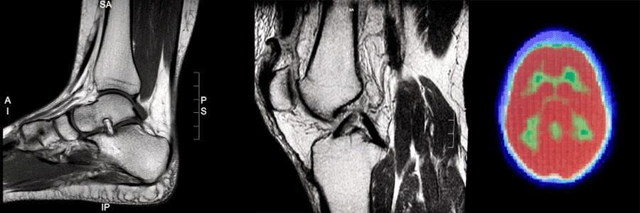 Doctor Muhletaler Radiological Xray 7